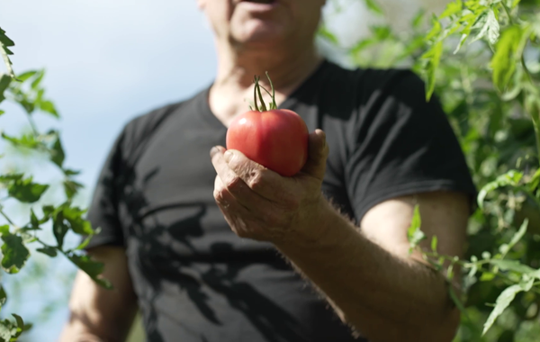 formation récolte et conservation- ecohabitation formation récolte et conservation- ecohabitation