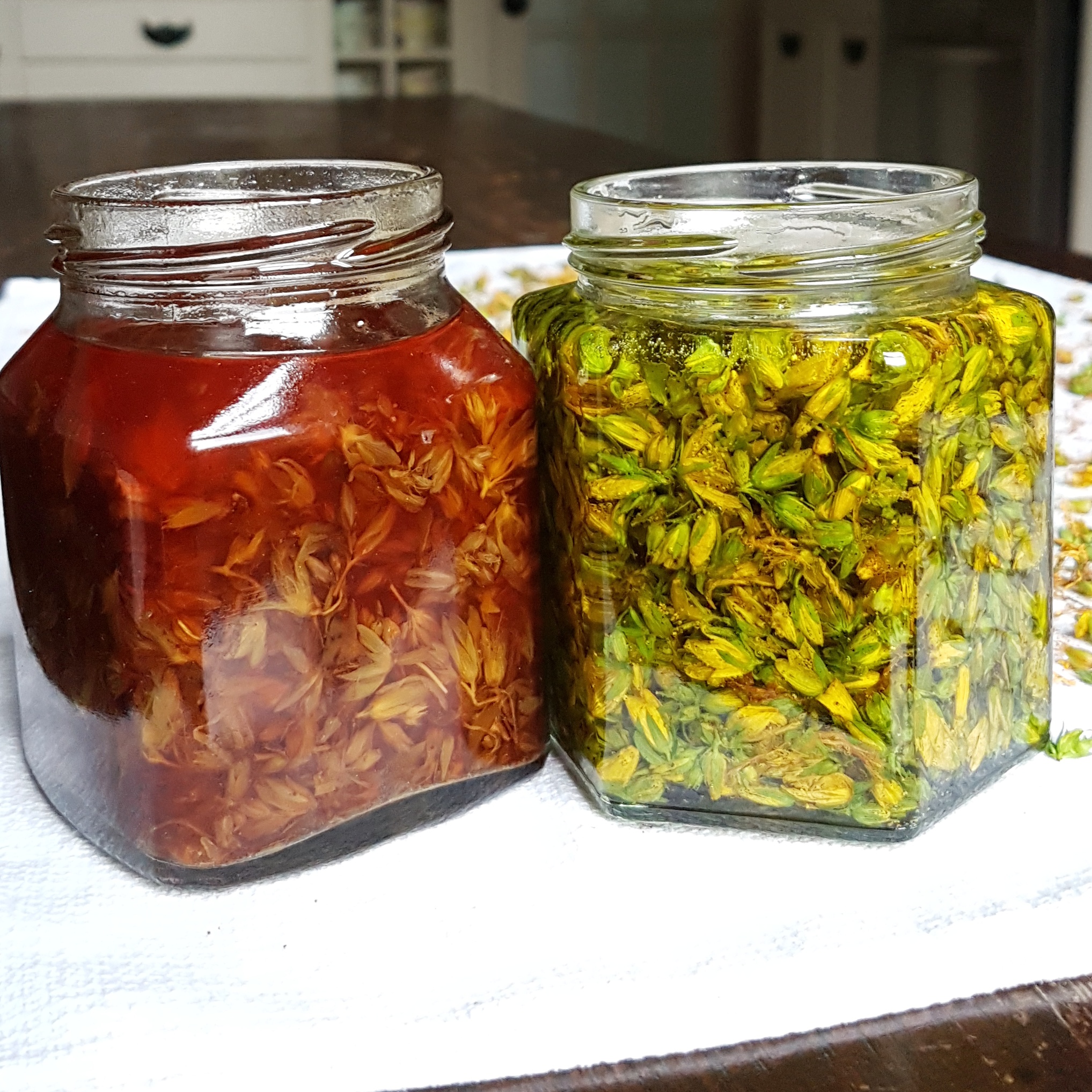 huile millepertuis adele dig